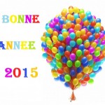 bonne année 2015