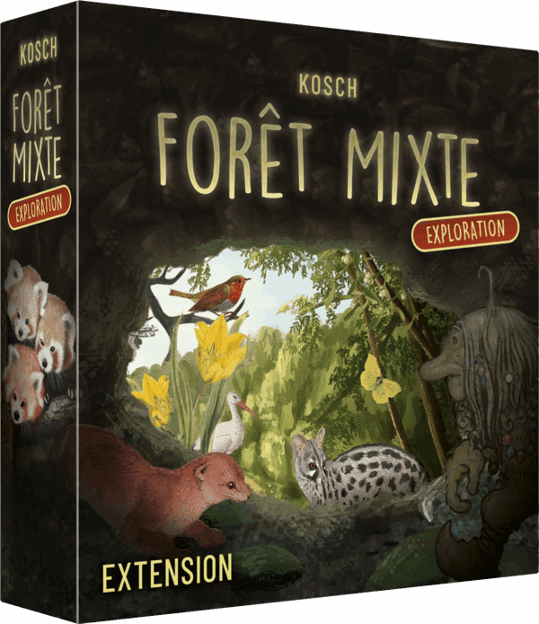 Forêt mixte : Exploration