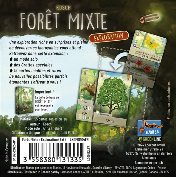 Forêt mixte : Exploration – Image 2