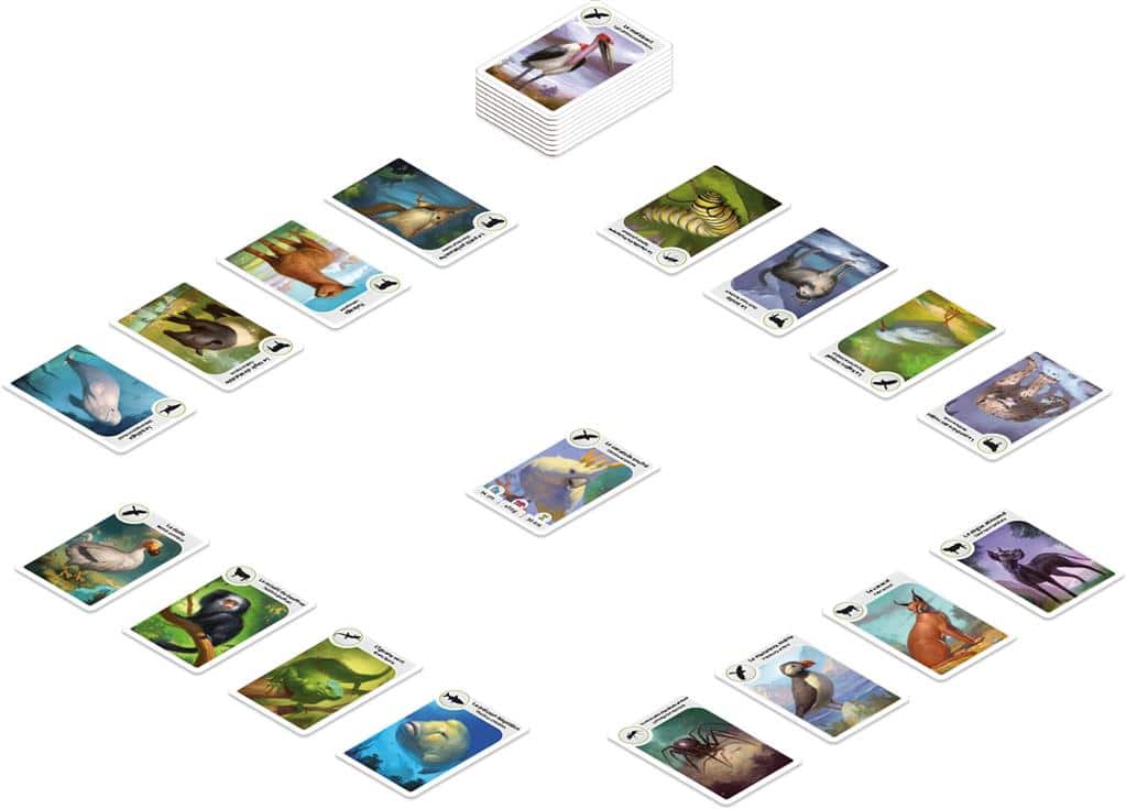 Cardline Animaux – Image 3