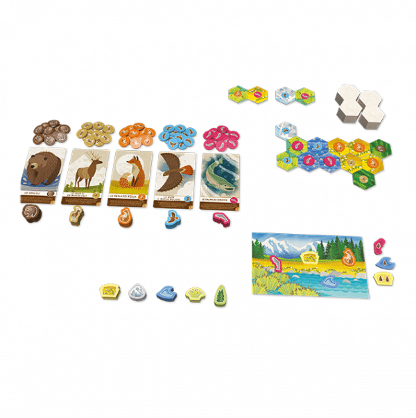 Cascadia Junior – Image 3