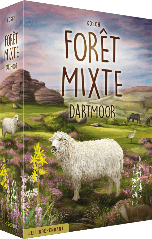Forêt mixte Dartmoor