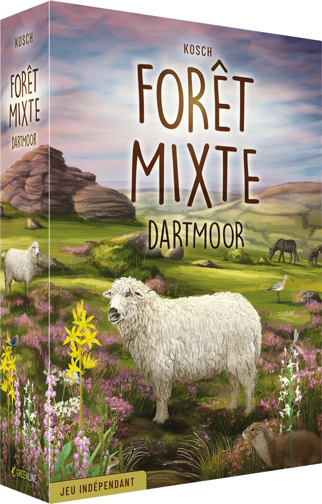 Forêt mixte Dartmoor