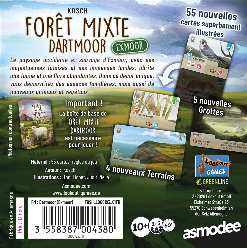 Forêt mixte Dartmoor : Exmoor – Image 2