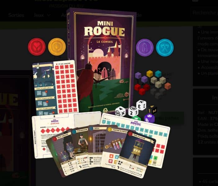 Mini Rogue : Le conseil – Image 3